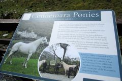 Ponies Sign