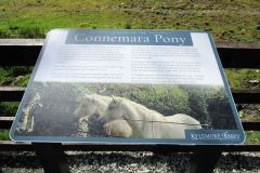 Ponies Sign