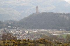 Town and Tower View
