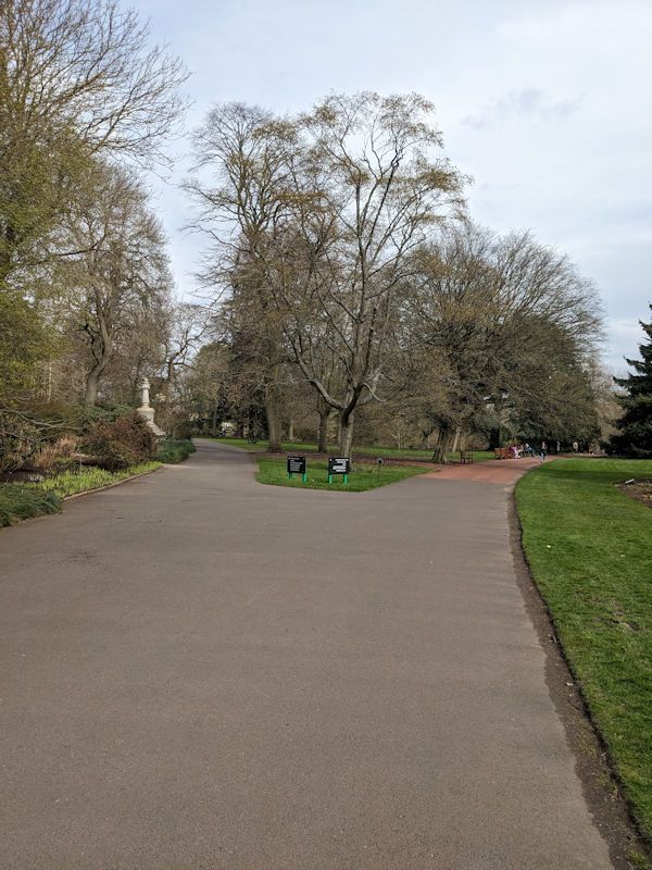 Edinburgh Botanic Gardens Trees and Path